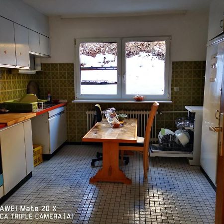 Rosen Garten Haus Titisee-Neustadt Kültér fotó