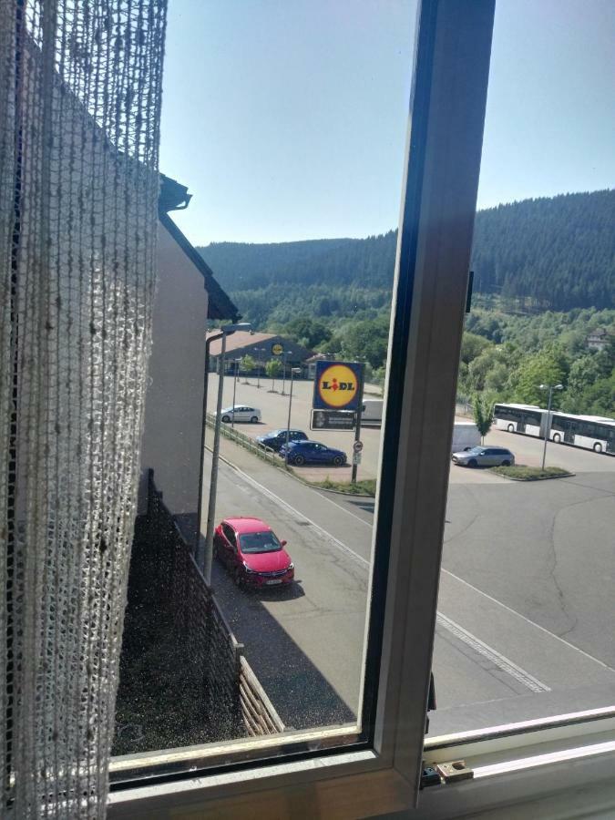 Rosen Garten Haus Titisee-Neustadt Kültér fotó